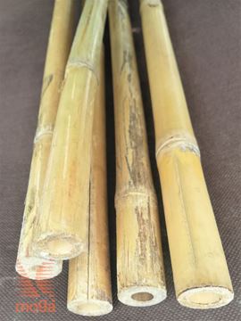 Slika Bambus palica