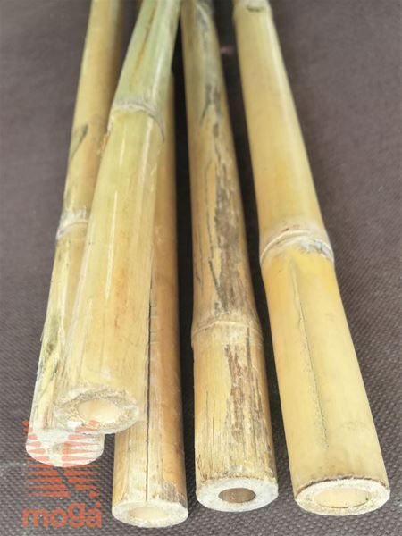 Bild von Bambus palica