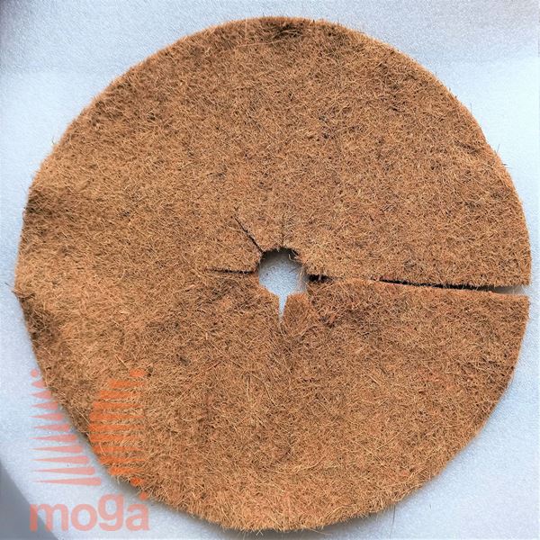 Picture of Kokosov disk