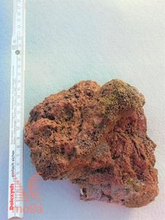 Vulkanska kamnina - Lava - Lapillo|Rjava|Skala XS|do cca. 200mm|