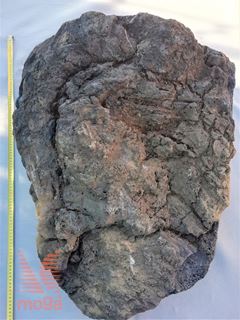 Vulkanska kamnina - Lava - Lapillo|Črna|Skala XL|cca. 800-1000mm|