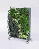 Picture of One-sided Green walls ALU