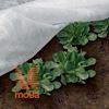 Koprena pokrivalka za rastline Ortoclima Plus |bela|30g/m2|
