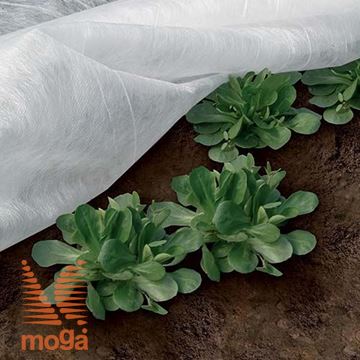 Slika Koprena pokrivalka za rastline Ortoclima Plus |bela|30g/m2|