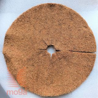 Picture of Kokosov disk |FI: 50 cm|800 g/m2|